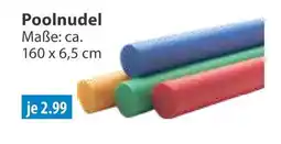 V Markt Poolnudel Angebot