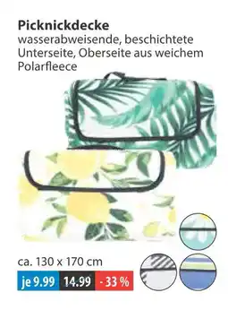 V Markt Picknickdecke Angebot