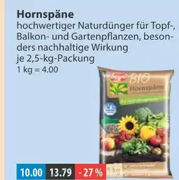 V Markt Hornspäne Angebot