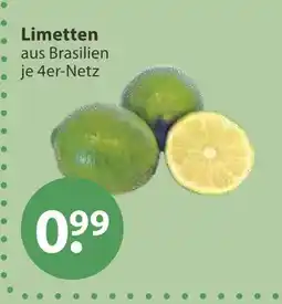V Markt Limetten Angebot