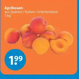 V Markt Aprikosen Angebot