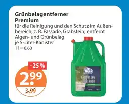 V Markt Grünbelagentferner premium Angebot