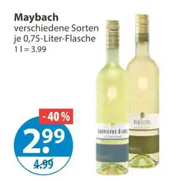 V Markt Maybach maybach Angebot