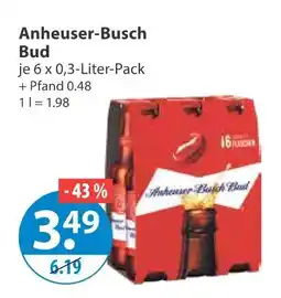 V Markt Anheuser-busch bud Angebot