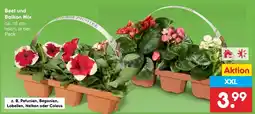 Netto Marken-Discount Beet und balkon mix petunien Angebot