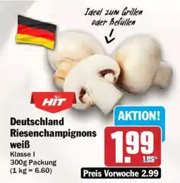 AEZ HIT Deutschland Riesen champignons weiß Angebot
