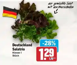 AEZ Deutschland Salatrio Angebot