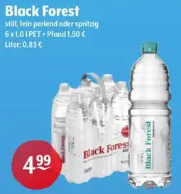 Getränke Hoffmann Black Forest Water Angebot