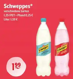 Getränke Hoffmann Schweppes Angebot