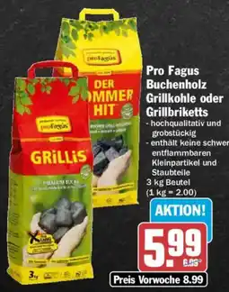 AEZ Pro Fagus Grillkohle oder Grillbriketts Angebot