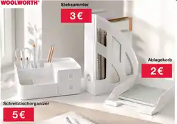 Woolworth WOOLWORTH® Stehsammler Angebot