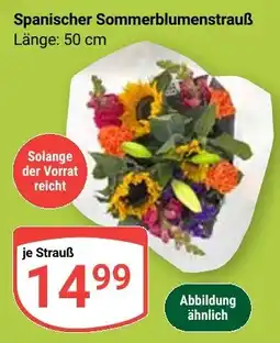 Globus Spanischer Sommerblumenstrauss Angebot