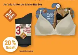 Globus Traum weich bh nur die Angebot