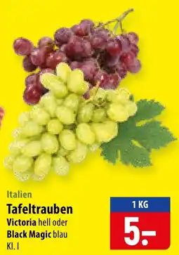 Famila Nord Ost Tafeltrauben Victoria hell oder Black Magic blau Angebot