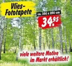 Repo Markt Vlies-Fototapete Angebot