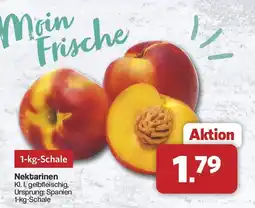 Famila Nord West Moin Frische Nektarinen Angebot