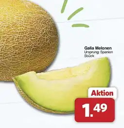 Famila Nord West Galia Melonen Angebot