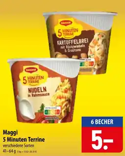 Famila Nord Ost Maggi 5 Minuten Terrine Angebot