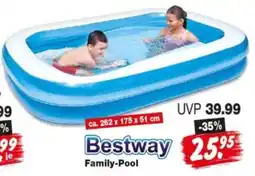 Repo Markt Bestway Family-Pool Angebot
