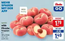 Famila Nord Ost Spanien wilde Pfirsiche Paraguayos Angebot