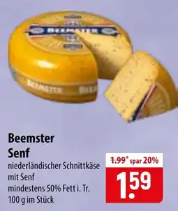 Famila Nord Ost Beemster Senf Angebot