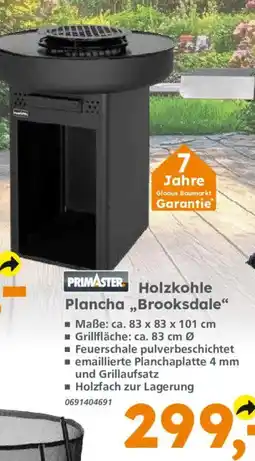 Globus Baumarkt PRIMASTER Holzkohle Plancha „Brooksdale“ Angebot