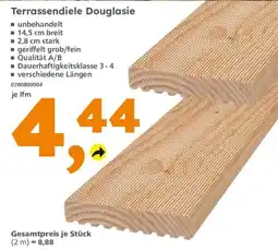Globus Baumarkt Terrassendiele Douglastie Angebot