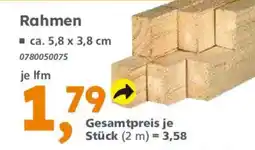 Globus Baumarkt Rahmen Angebot
