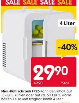 Rusta Mini-Kühlschrank FR26 Angebot