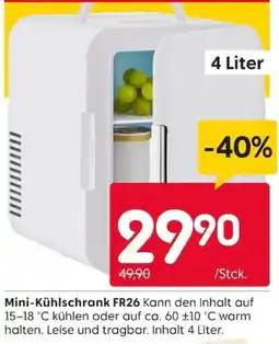 Rusta Mini-Kühlschrank FR26 Angebot