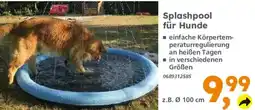 Globus Baumarkt Splashpool für Hunde Angebot