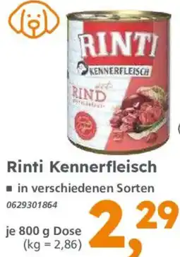 Globus Baumarkt Rinti Kennerfleisch Angebot