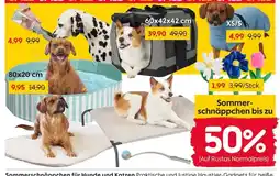 Rusta Sommer-schnäppchen für Hunde und Katzen Angebot