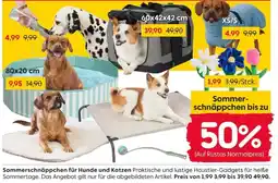 Rusta Sommerschnäppchen für Hunde und Katzen Angebot