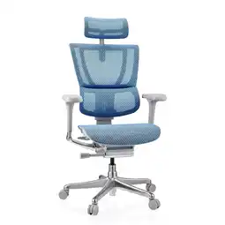 Netto Marken-Discount hjh OFFICE Luxus Chefsessel ERGOHUMAN SLIM G GEN2 Netzstoff mit Armlehnen (höhenverstellbar) Angebot