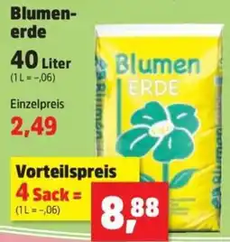 Thomas Philipps Blumen ERDE Angebot