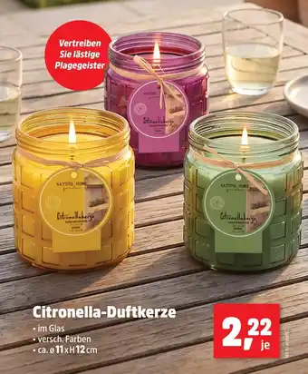 Thomas Philipps Citronella-Duftkerze Angebot
