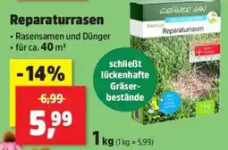 Thomas Philipps GRÜNER JAN Reparaturrasen Angebot