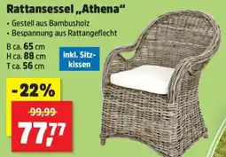 Thomas Philipps Rattansessel „Athena“ Angebot