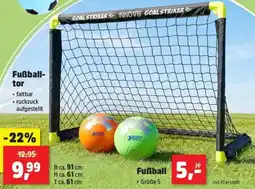 Thomas Philipps Fußballtor Angebot