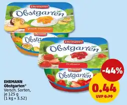 PENNY Ehrmann Obstgarten Angebot