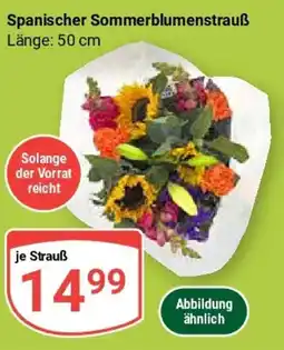 Globus Spanischer Sommerblumenstrauß Angebot