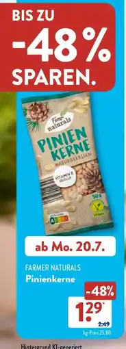 Aldi Süd Farmer Naturals Pinienkerne Angebot