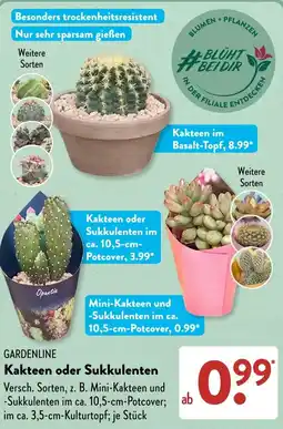 Aldi Süd GARDENLINE Kakteen oder Sukkulenten Angebot