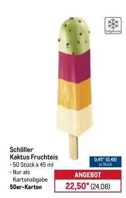 METRO Schöller Kaktus Fruchteis Angebot