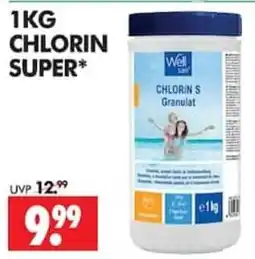 Wreesmann Well Chlorin S Granulat Angebot