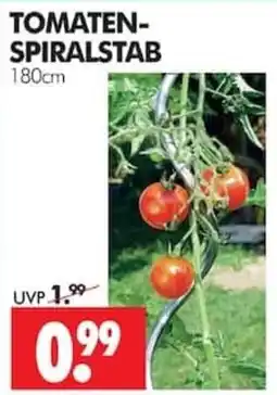 Wreesmann TOMATEN-SPIRALSTAB Angebot