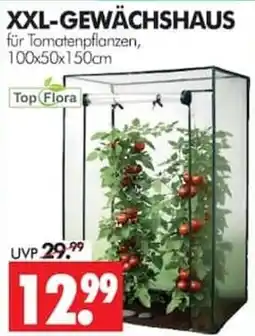 Wreesmann XXL-GEWÄCHSHAUS für Tomatenpflanzen, 100x50x150cm Angebot