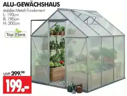 Wreesmann ALU-GEWÄCHSHAUS Top Flora Angebot