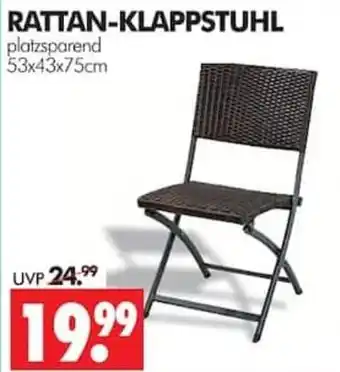 Wreesmann RATTAN-KLAPPSTUHL Angebot